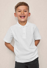 2-3Y